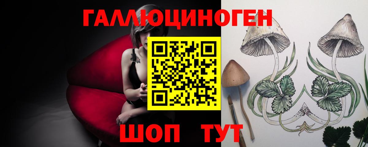 Псилоцибиновые грибы MAGIC MUSHROOMS  Псилоцибиновые грибы мицелий  Вход с VPN  Каспийск 